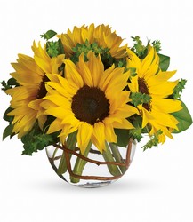 Sunny Sunflowers from Weidig's Floral in Chardon, OH